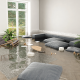 carpet cleaning in brooklyn, carpet cleaning in new york, carpet cleaning brooklyn, carpet cleaners in brooklyn, carpet cleaners in new york, commercial carpet cleaning, commercial carpet cleaning in brooklyn, brooklyn rug cleaners, rug cleaning services in brooklyn, same day carpet cleaning, same day rug cleaning